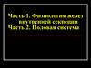 Часть 1. Физиология желез внутренней секреции. Часть 2. Половая система