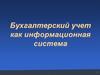 Бухгалтерский учет как информационная система