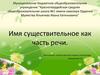 Имя существительное как часть речи