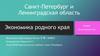 Санкт-Петербург и Ленинградская область. Экономика родного края