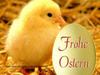 Frоhe Ostern