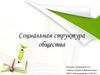 Социальная структура общества