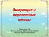 Зимующие и перелетные птицы