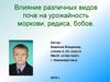 Влияние различных видов почв на урожайность моркови, редиса, бобов