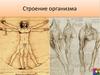 Строение организма. Урок 7