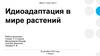 Идиоадаптация в мире растений