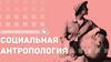 Социальная антропология