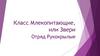Класс Млекопитающие, или Звери. Отряд Рукокрылые