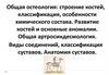 Общая остеология. Строение костей, классификация, особенности химического состава. Общая артросиндесмология