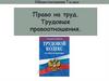 Право на труд. Трудовые правоотношения