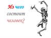 Из чего состоит человек?