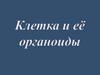 Клетка и её органоиды