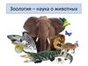 Зоология – наука о животных