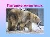 Питание животных