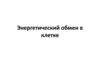 Энергетический обмен в клетке