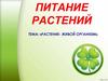 Растение - живой организм