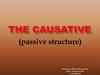 The Causative (passive structure)