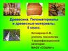 Древесина. Пиломатериалы и древесные материалы. 5 класс