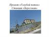 Проект «Голубой поток». Станция «Береговая»