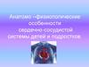 Анатомо-физиологические особенности сердечно-сосудистой системы детей и подростков
