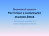 Растение в интерьере жилого дома. Творческий проект