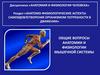 Общие вопросы анатомии и физиологии мышечной системы