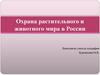 Охрана растительного и животного мира в России