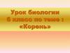 Корень. Урок биологии 6 класс