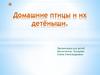 Домашние птицы и их детёныши