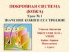 Покровная система (кожа). Значение кожи и ее строение
