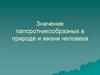 Значение папоротникообразных в природе и жизни человека