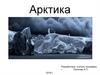 Арктика. Новая Земля