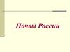 Почвы России