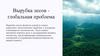 Вырубка лесов - глобальная проблема