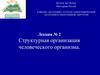 Структурная организация человеческого организма. Лекция № 2