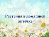 Растения в домашней аптечке