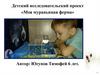Детский исследовательский проект «Моя муравьиная ферма»