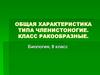 Общая характеристика типа членистоногие. Класс ракообразные