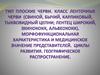 Тип Плоские черви. Класс Ленточные черви. Морфофункциональная характеристика и медицинское значение представителей (таблицы)