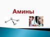 Амины