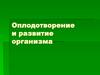 Оплодотворение и развитие организма