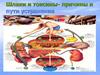 Шлаки и токсины - причины и пути устранения