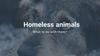 Homeless animals. What to do with them?