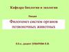 Филогенез систем органов позвоночных животных