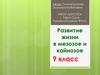 Развитие жизни в мезозое и кайнозое