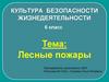 Лесные пожары. Культура безопасности жизнедеятельности. 6 класс