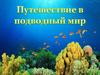 Путешествие в подводный мир