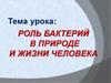 Роль бактерий в природе и жизни человека