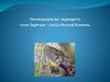 Экспедиция по маршруту село Заречье - скала Белый Камень