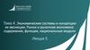 Экономические системы и концепции их эволюции. Рынок и рыночная экономика  (лекция 5)
